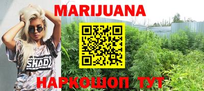 стаф Краснодар