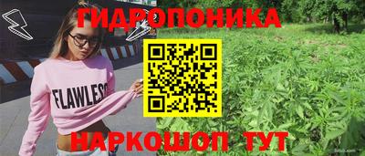 apvp Краснокаменск