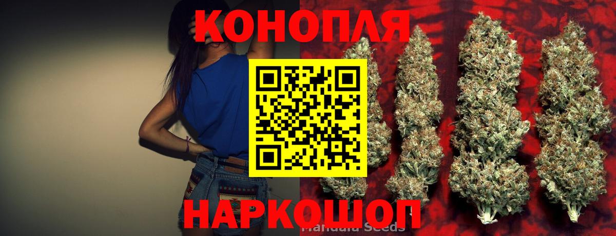 Бошки марихуана семена  Конопля сатива  Знаменск  Вход с VPN 